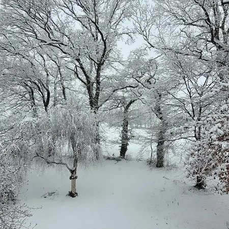 ホテル Lethehof *